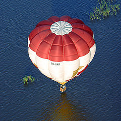 photo "I fly above water ..."