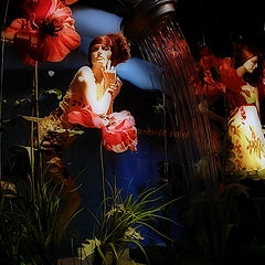 photo "Evening show-window 2"