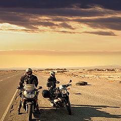 photo "Desert friends"