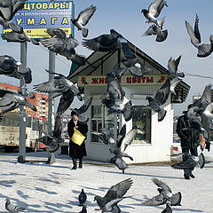 photo "the Perm birds, real flowers"