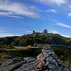 photo "Graakallen in Trodheim"