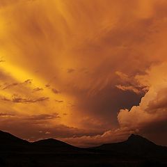 photo "Karoo after storm, Graaff-Reinet, (South africa)"