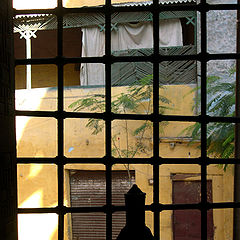 photo "Window"