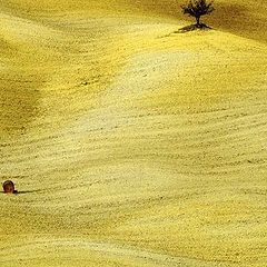 photo "Tuscany after Harvest"