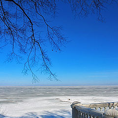 photo "Peterhof. The bottom park. A gulf. #1"