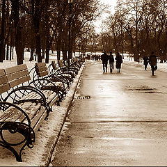 photo "Benches (looking for clients)"
