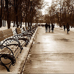 фото "Скамейки (в ожидании клиентов)"