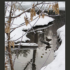 фото "Японский мотив"