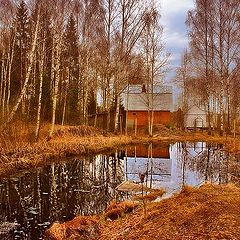 фото "Тишина..."