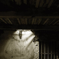 photo "light & shadow"