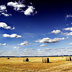 photo "The sky and gold"