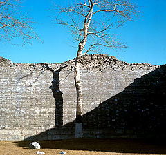 фото "The wall,the tree and their shadow"