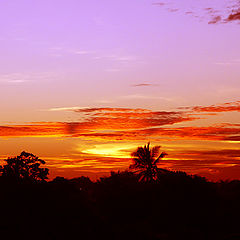 фото "Sunrise in Brazil"