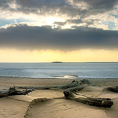 photo "Lone isle"