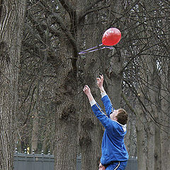 photo "To get a ball"