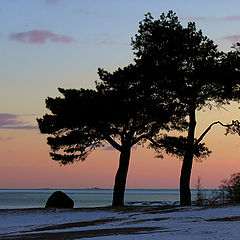 photo "By the sea..."