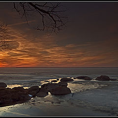 photo "The Last Light of Outgoing Winter"