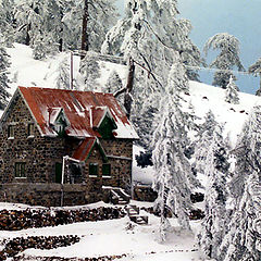 фото "Little House on the Mountain"