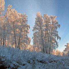 photo "Winter"