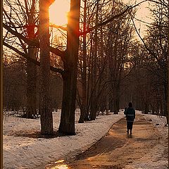 photo "Syvorovskiy park. Evening"