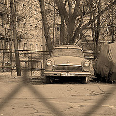 photo "***"