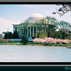 фото "Thomas Jefferson`s Memorial"