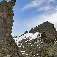 фото ""Верблюды""