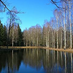 photo "Vokzalnyj a pond"