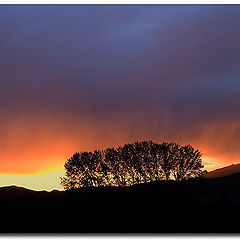 photo "Sunset hill."