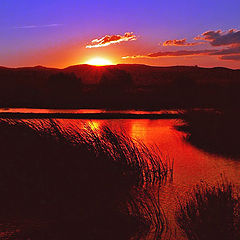 photo "Colors of Evening II"