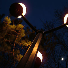 photo "from the life of street lights or another love tri"