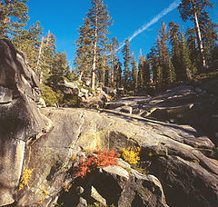 фото "Yosemite - California"