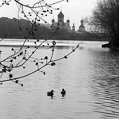 фото "весеннее утро"