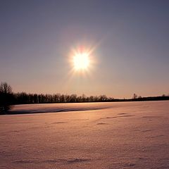 фото "Снежное покрывало"