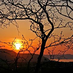 photo "Sunseth on Bergheim"