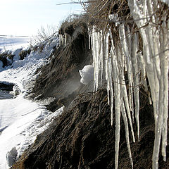 photo "The last moments of winter"