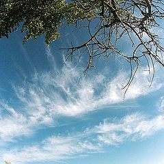 photo "On coast .Clouds."