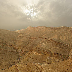 photo "Sandy storm"