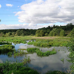 photo "Wires above a pond"