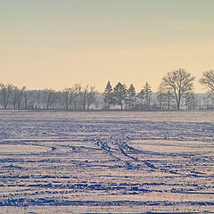 photo "winter-1"