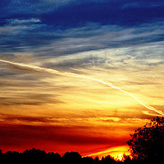 photo "Sky, plant and girl..."