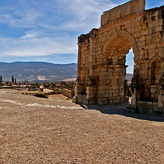 photo "Volubilis"