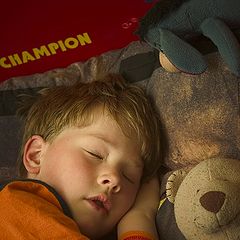 photo "champion is sleeping"