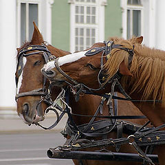 photo "Kiss near Zimniy Palace"