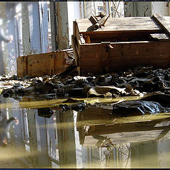 photo "Pripyat. School. 19 years after...."