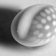 photo "Shadows on egg"