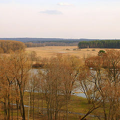 photo "день весны"