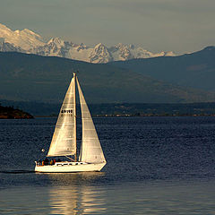 photo "Evening Sail"
