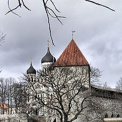 photo "Tallinn"