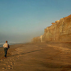 фото "Walking by the Sea"